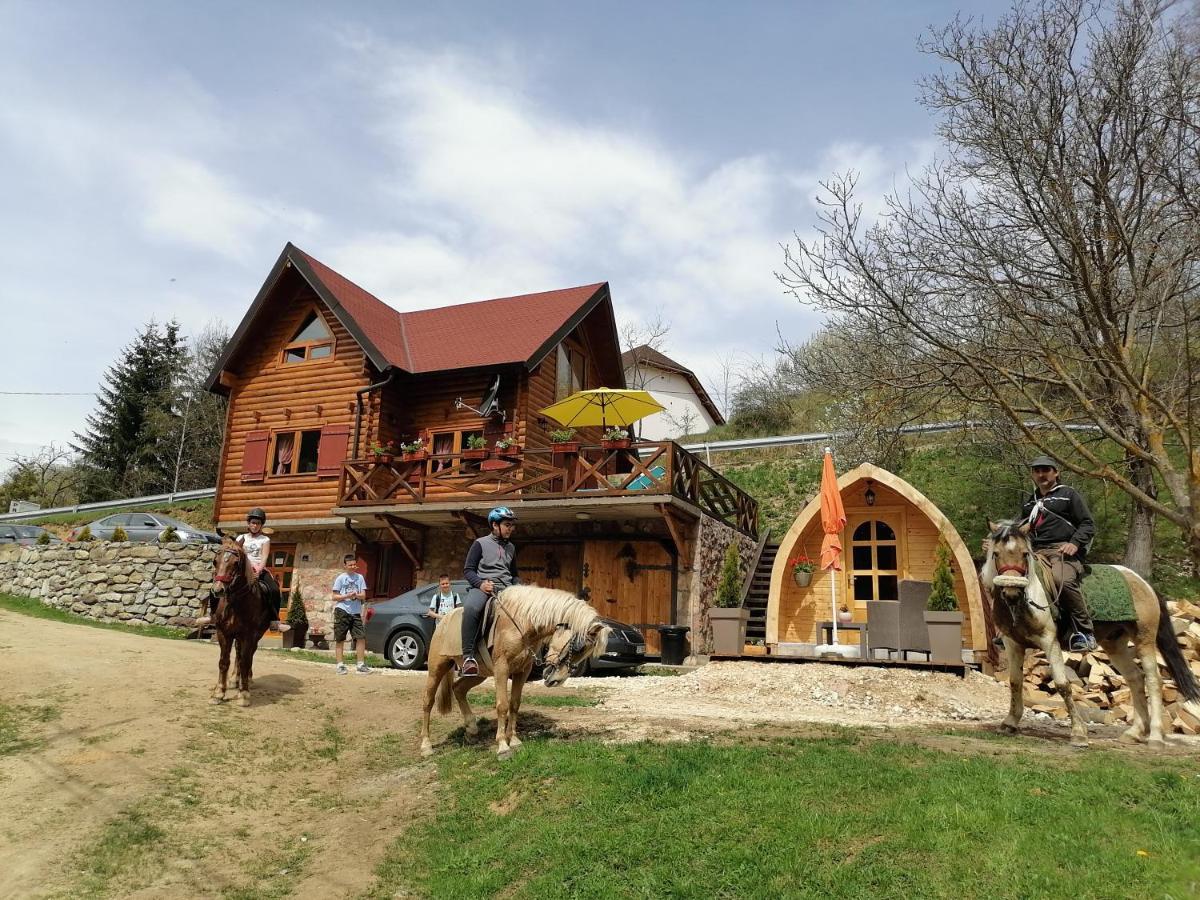 Vila Jelena - Bungalov Crni Vrh Ngoại thất bức ảnh