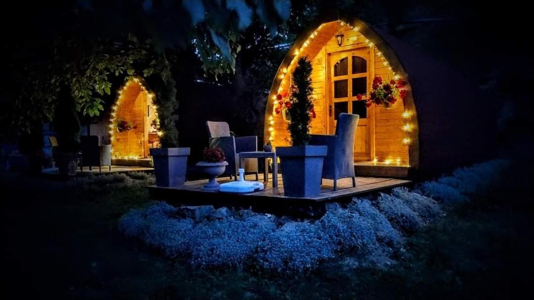 Vila Jelena - Bungalov Crni Vrh Ngoại thất bức ảnh